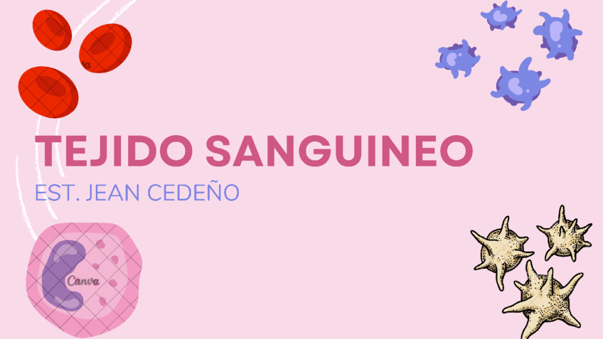 Copia-de-Tejido-Sanguineo.pdf