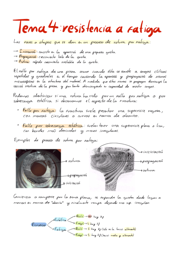 Apuntes-CyDM-I-Tema-4-V7.pdf