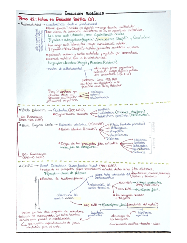 TEMA-12.pdf