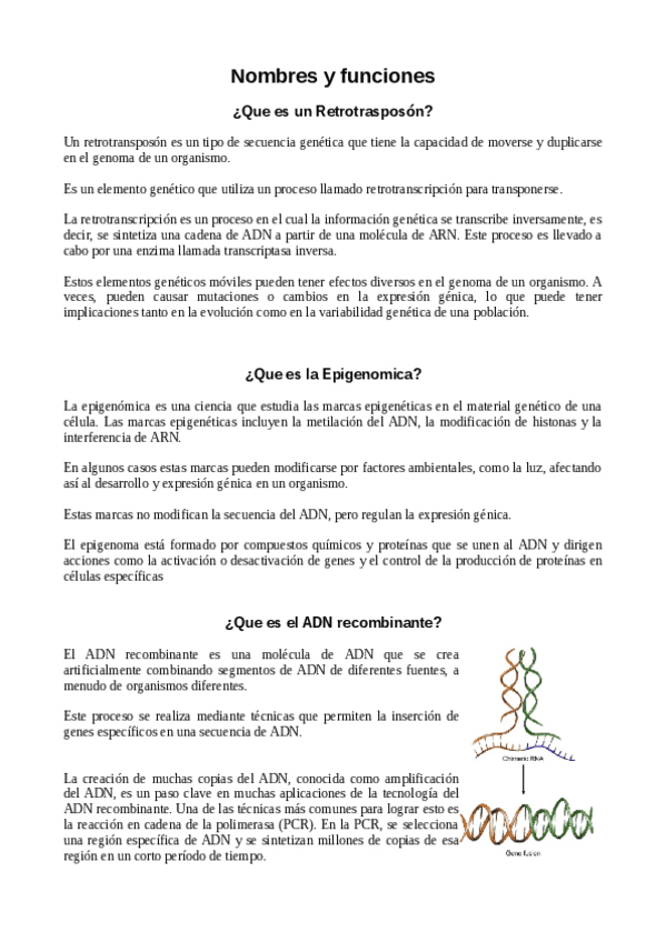 Apuntes-Parte-de-Concha.pdf