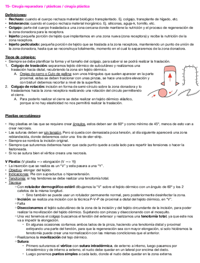 Cirugia-2a-parte-2024.pdf