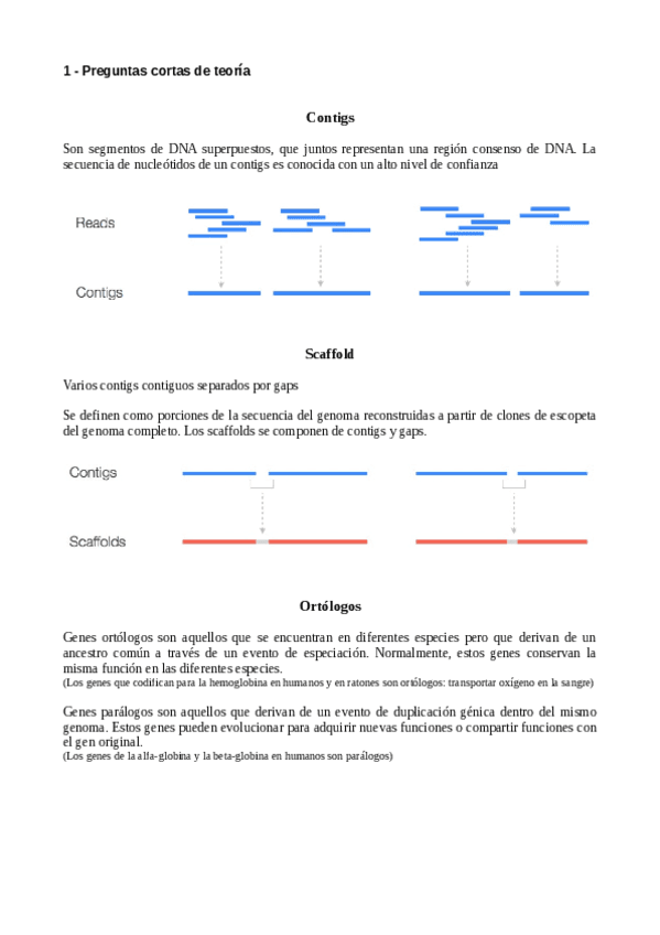 Preguntas-parte-I-Genomica.pdf