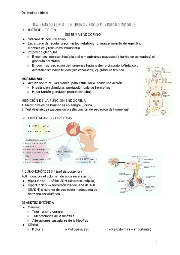 TEMA-6-PATOLOGIA-GENERAL-II-ANDREA.pdf