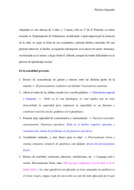 Práctica Alejandra.docx (1).pdf