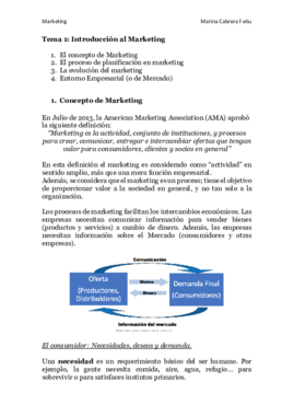 Tema 1 - Introdución al marketing.pdf