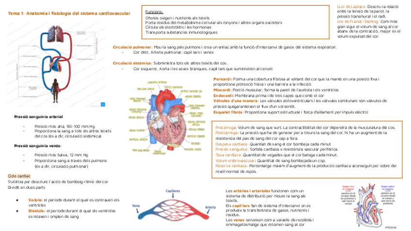 fisopato-II-resumen-parcial.pdf