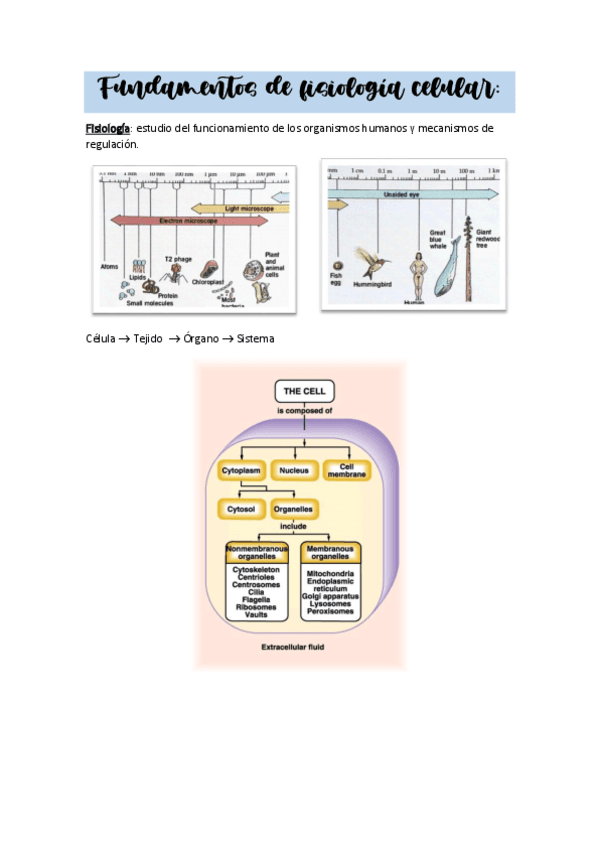TEMA1fundamentosfisiologiacelular.pdf