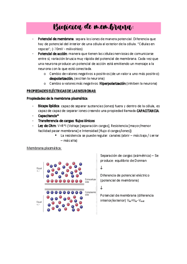TEMA2potencialmembranapotencialaccion.pdf