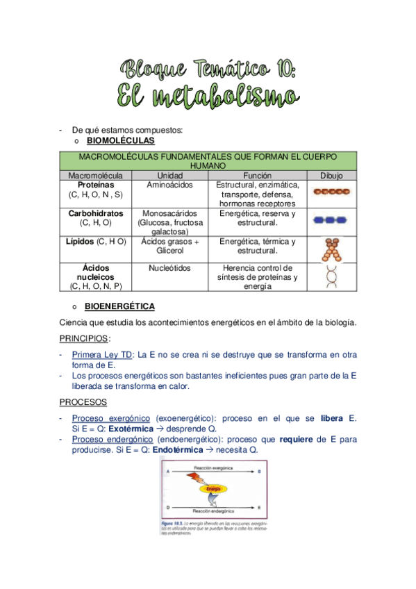 TEMA-10.-METABOLISMO.pdf