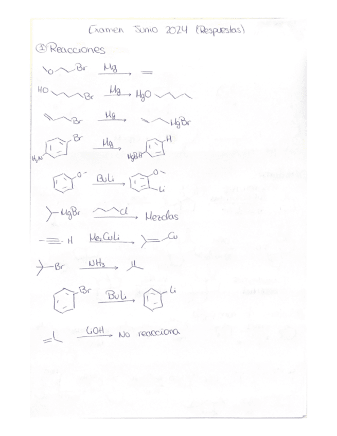Examen-Organica-junio-2024.pdf