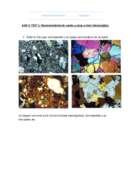 AAD 5 (AUTOEVALUABLE).pdf