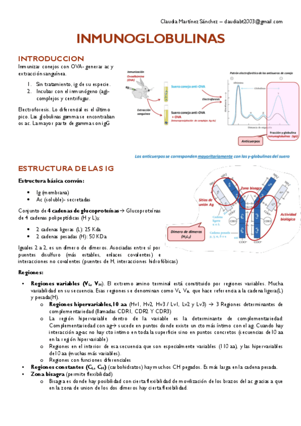 T3.pdf