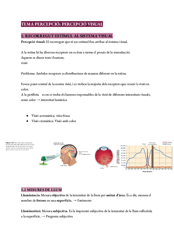 Tema-3-Percepcio-visual.pdf
