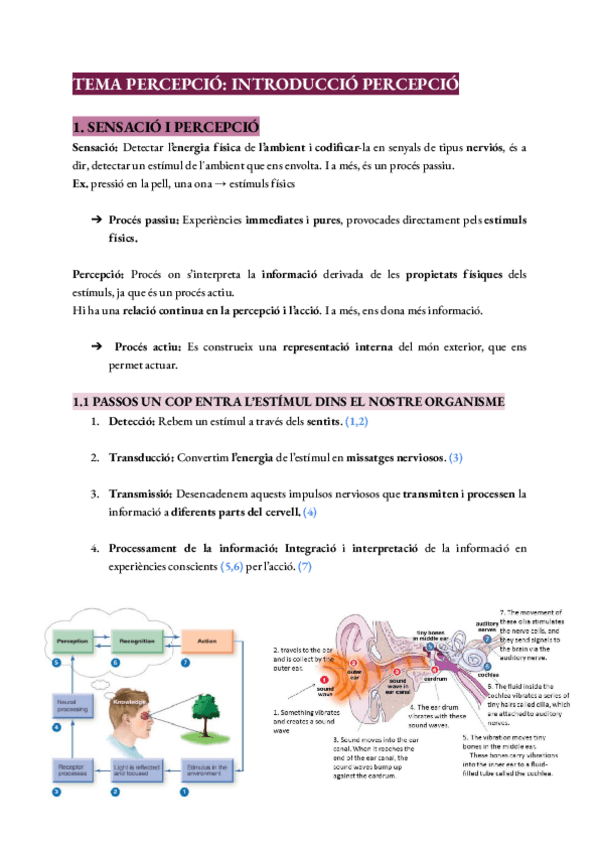 Tema-1-Introduccio-percepcio.pdf