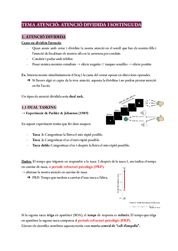 Tema-3-Atencio-dividida-i-sostinguda.pdf