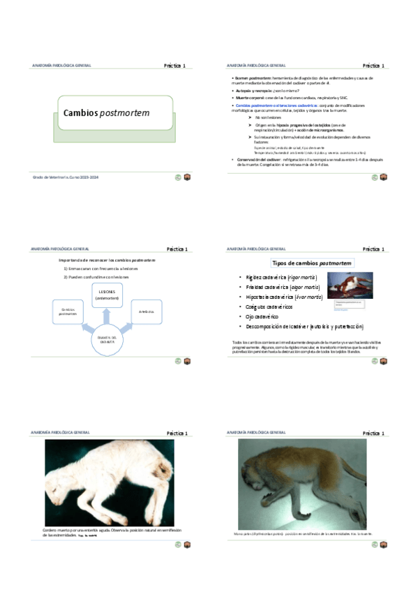 estudiar-practico-apg.pdf