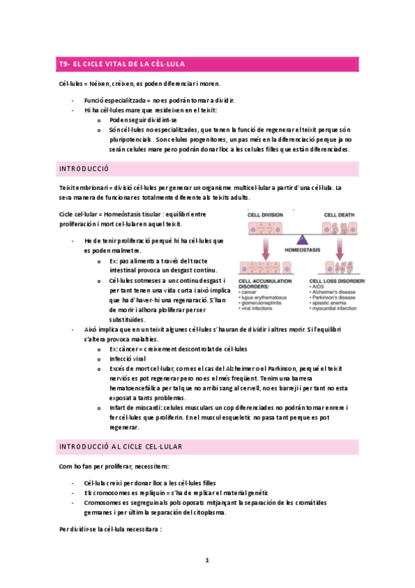 T9-El-cicle-vital-de-la-cellula.pdf