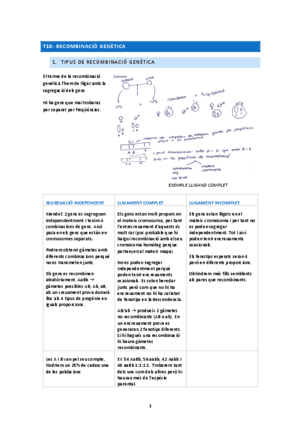 T10-RECOMBINACIO-GENETICA.pdf
