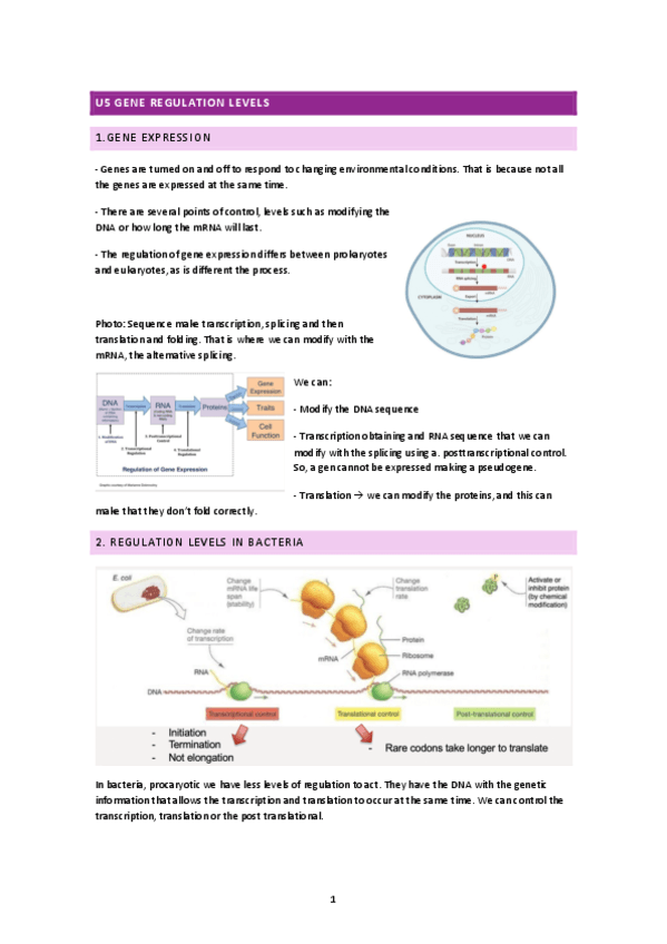 u5-levels-of-gene-expression-regulation.pdf