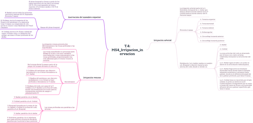 T.4MS4Irrigacioninervacion.pdf