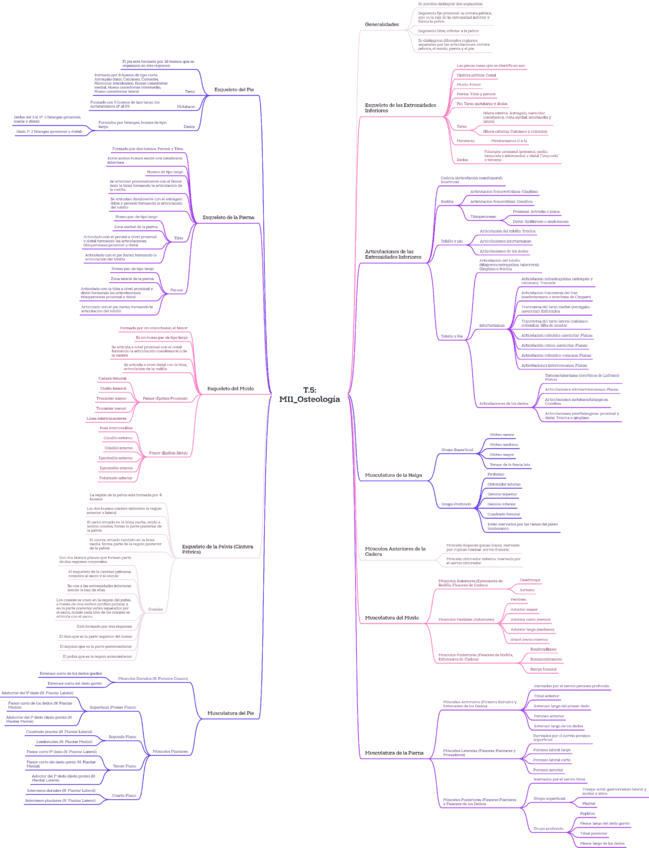 T.5MI1Osteologia.pdf