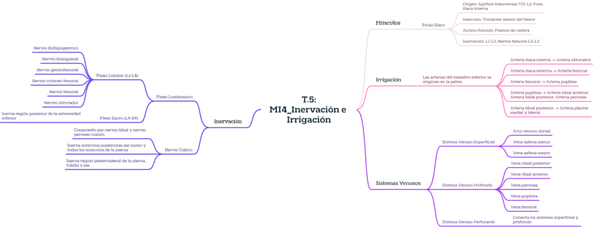 T.5MI4InervacionIrrigacion.pdf