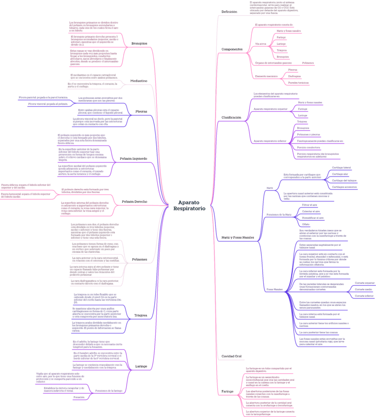 T.7AparatoRespiratorio.pdf