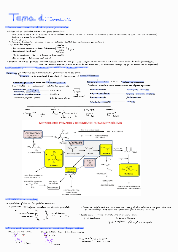 Apuntes-PN-Tema-1-y-2.pdf
