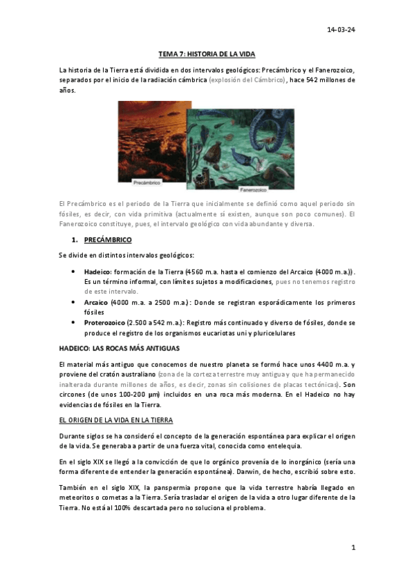 TEMA-7.pdf