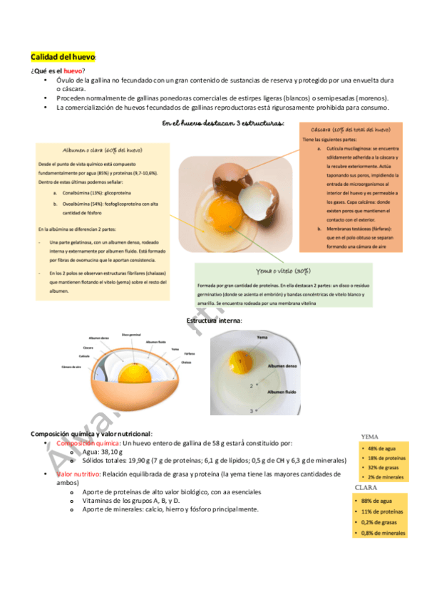 Calidad-del-huevo.pdf