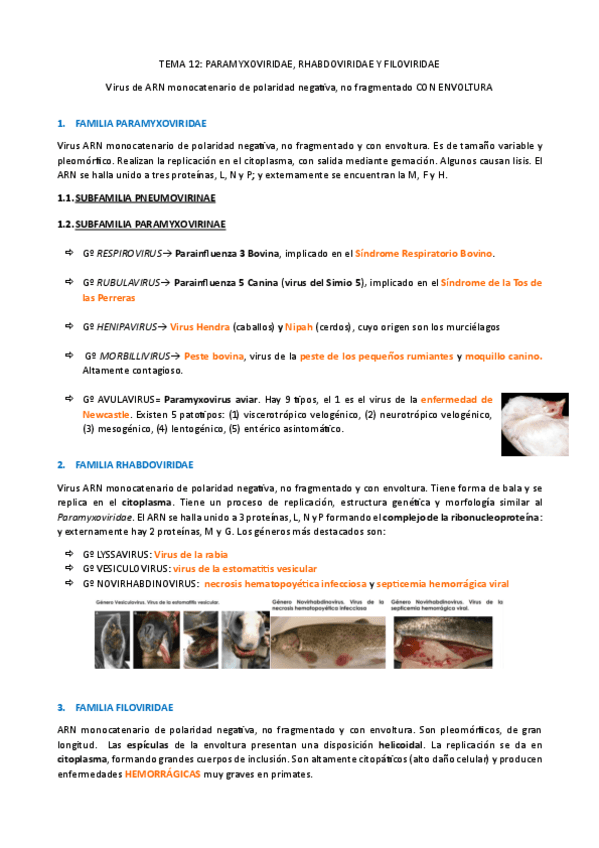 Agentes-biologicos-I-T12-Paramyxoviridae-Rhabdoviridae-Y-Filoviridae.pdf