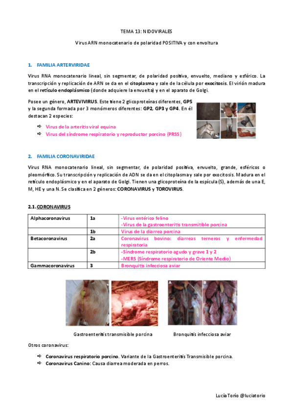 Agentes-biologicos-I-T13-Nidovirales.pdf