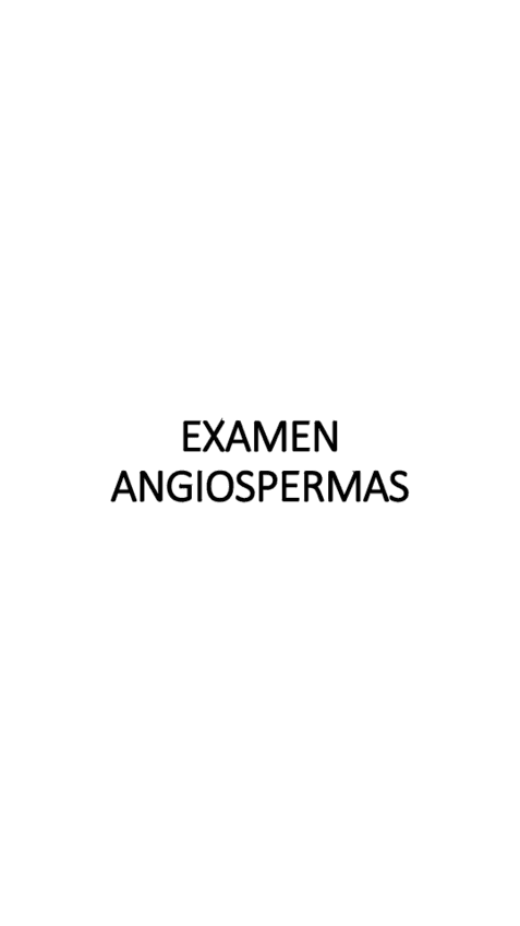 EXAMEN-ANGIOSPERMAS-3-6-2024.pdf