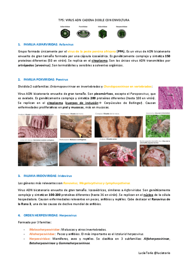 Agentes-biologicos-I-TP5-Virus-ADN-cadena-doble-envueltos.pdf