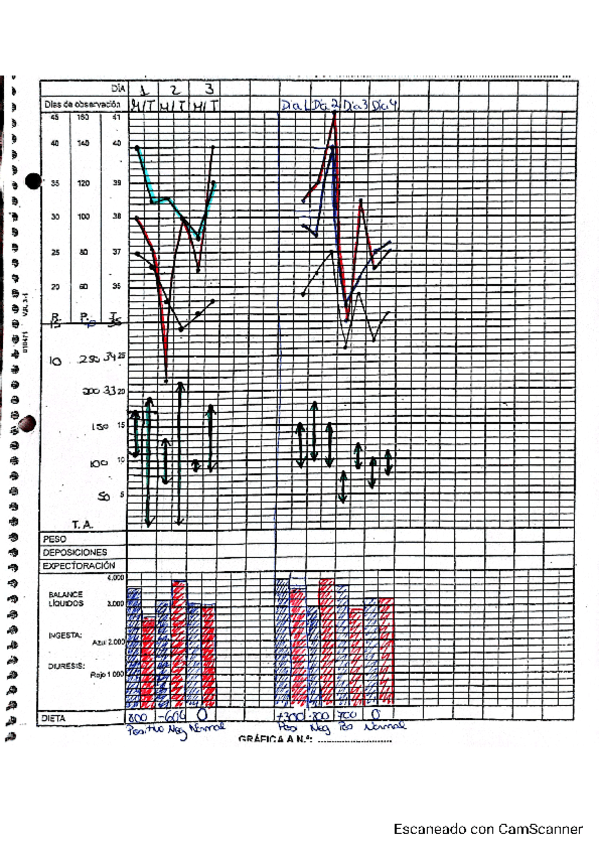 Realizacion-de-graficas.pdf