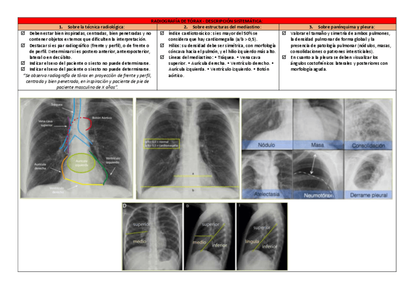 RX.pdf