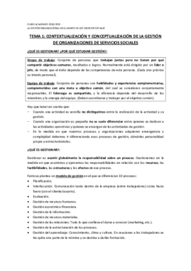APUNTES TEMA 1 gestión organizacional.pdf