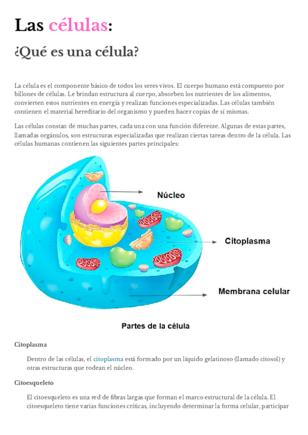 las-celulas.pdf