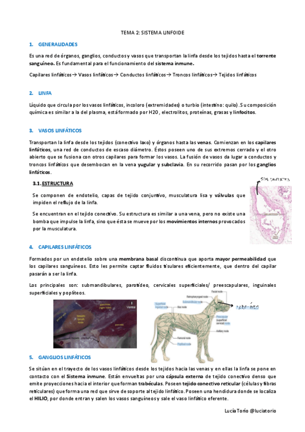 EyF-II-2-Sistema-linfoide.pdf