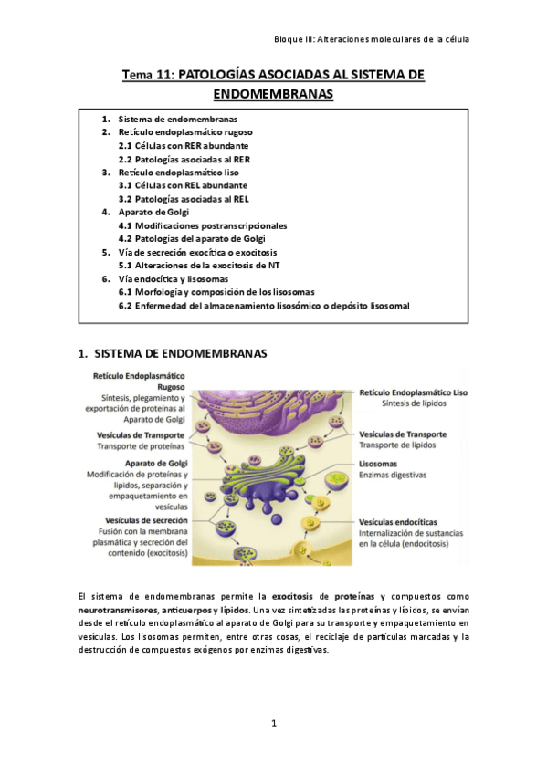 TEMA-11.-Patologias-asociadas-al-sistema-de-endomembranas.pdf