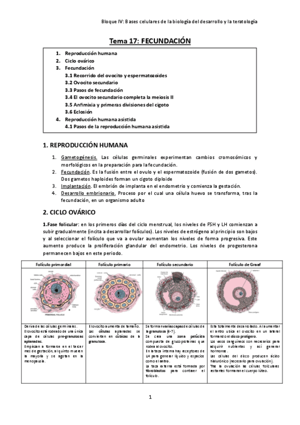 TEMA-17.-Fecundacion.pdf