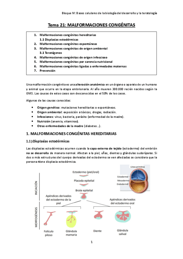 TEMA-21.-Malformaciones-congenitas.pdf