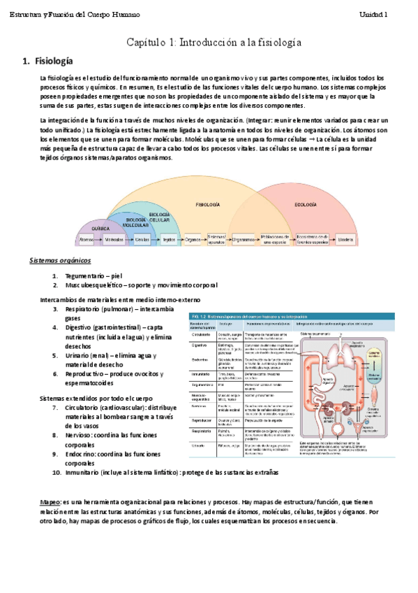 EstructuraUnidad1Tema2.pdf