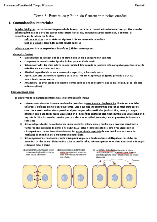 EstructuraUnidad1Tema3.pdf