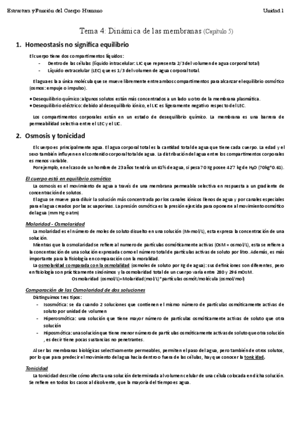 EstructuraUnidad1Tema4.pdf