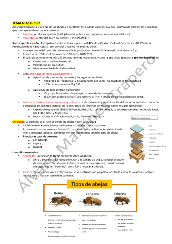 Apicultura.pdf