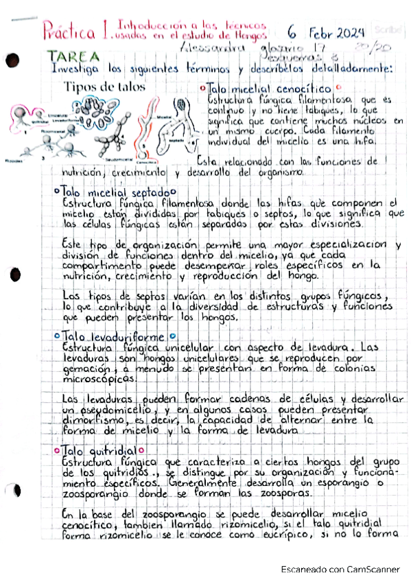 Practica1IntroduccionalastecnicasusadasenelestudiodeHongos.pdf