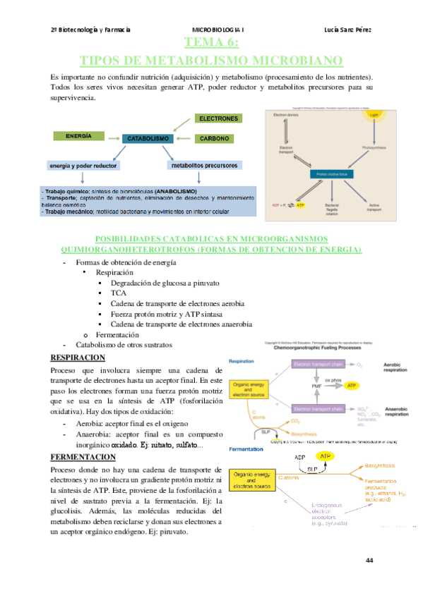 MICROBIOLOGIA-I-TEMA-6.pdf