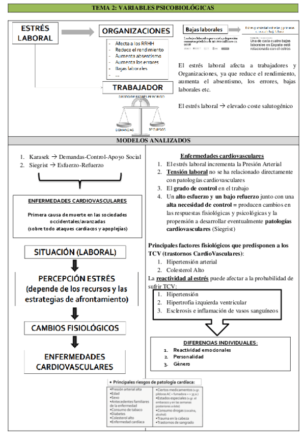 Tema-2.-0.pdf