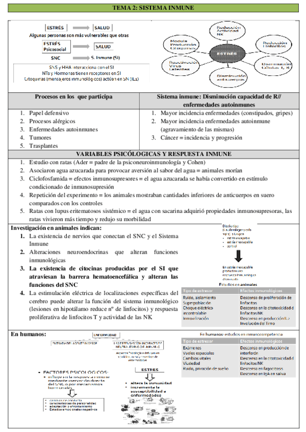 Tema-2.-2.pdf